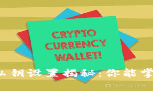 钱包私钥设置揭秘:你能掌控吗?