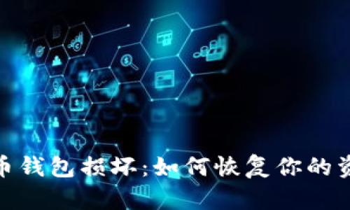 数字货币钱包损坏:如何恢复你的资产安全
