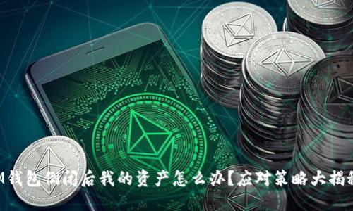 IM钱包倒闭后我的资产怎么办?应对策略大揭秘!
