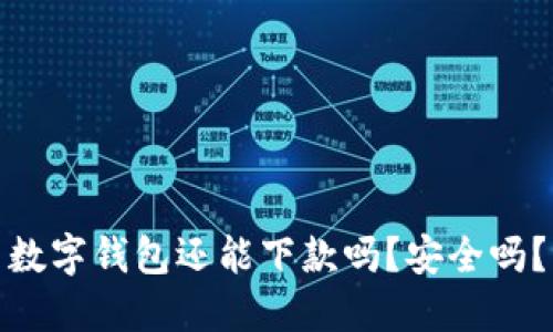 数字钱包还能下款吗？安全吗？
