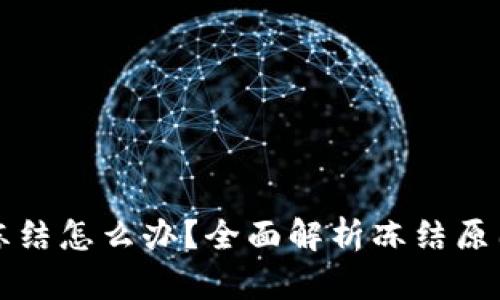 虚拟币账户冻结怎么办？全面解析冻结原因与解决方案