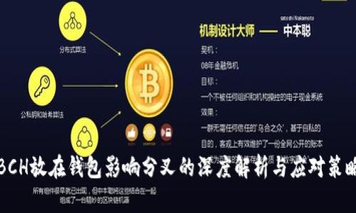 BCH放在钱包影响分叉的深度解析与应对策略