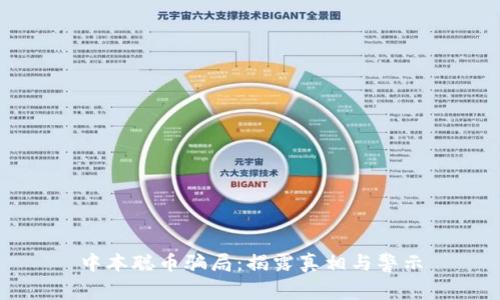 中本聪币骗局：揭露真相与警示