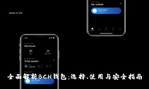 全面解析BCH钱包：选择、使用与安全指南
