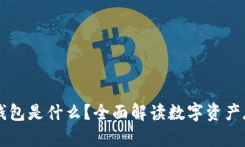虚拟币的钱包是什么?全面解读数字资产存储的未来