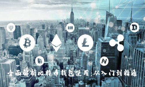 全面解析比特币钱包使用:从入门到精通