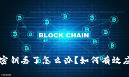 区块链钱包密钥丢了怎么办？如何有效应对这一危机