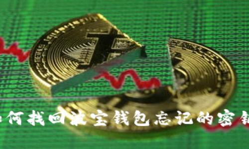 如何找回波宝钱包忘记的密钥？