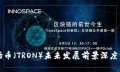 波场币（TRON）未来发展前景深度分析