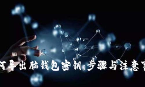 如何导出脑钱包密钥：步骤与注意事项