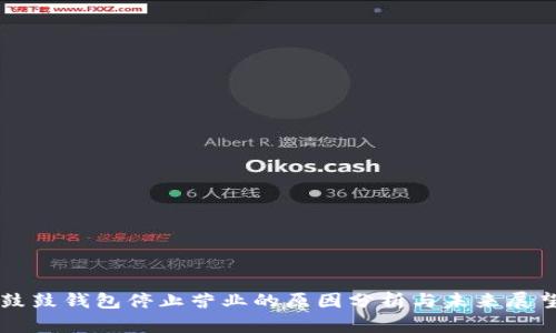 鼓鼓钱包停止营业的原因分析与未来展望