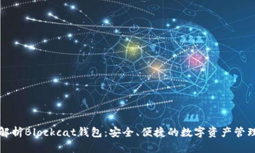 全面解析Blockcat钱包：安全、便捷的数字资产管理利器