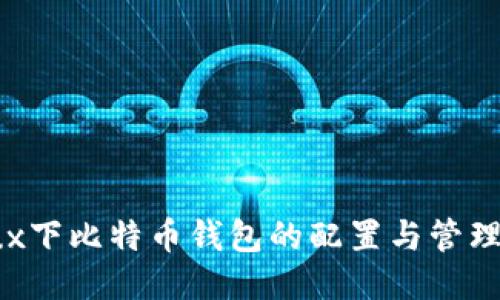 Linux下比特币钱包的配置与管理指南