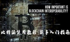 比特派使用教程：新手入门指南