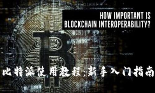 比特派使用教程：新手入门指南