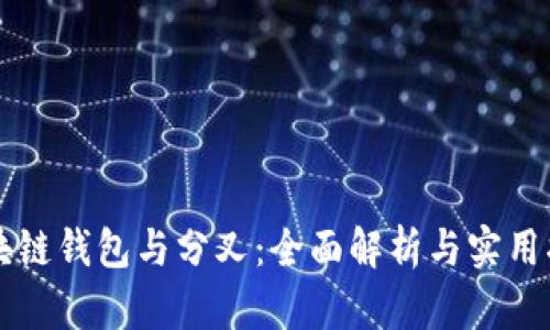 区块链钱包与分叉：全面解析与实用指南