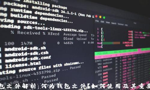 
钱包文件解析：何为钱包文件？如何使用及其重要性