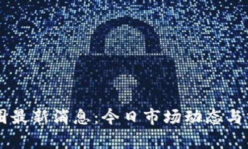 币圈最新消息：今日市场动态与分析