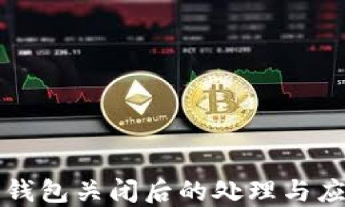 
虚拟币钱包关闭后的处理与应对策略