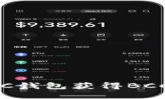 如何通过BTC钱包获得BCC的详细指南