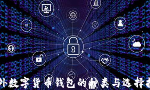 
国外数字货币钱包的种类与选择指南