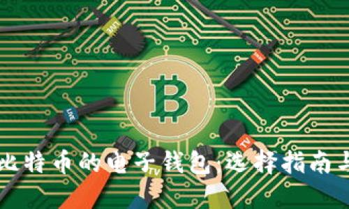 能装比特币的电子钱包：选择指南与推荐