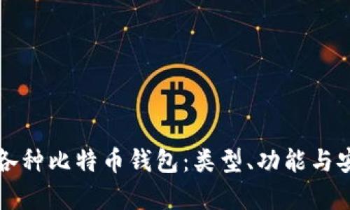 如何区别各种比特币钱包：类型、功能与安全性分析